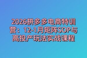2026拼多多电商特训营：12-1月矩阵SOP与高投产玩法实战课程