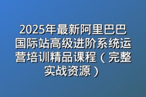 2025年最新阿里巴巴国际站高级进阶系统运营培训精品课程（完整实战资源）