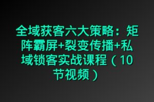 全域获客六大策略：矩阵霸屏+裂变传播+私域锁客实战课程（10节视频）