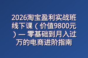 2026淘宝盈利实战班线下课（价值9800元）— 零基础到月入过万的电商进阶指南