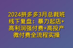 2024拼多多3月总裁班线下复盘：暴力起店+高利润强付费+高投产微付费全流程实操
