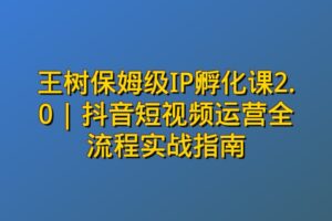 王树保姆级IP孵化课2.0 | 抖音短视频运营全流程实战指南