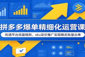 拼多多爆单精细化运营课：SKU布局+付费推广实战，7天日出500单完整指南