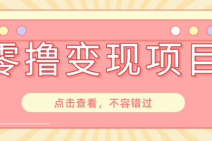 快手极速版推广项目完整教程：春节电商大促如何用手机日赚百元