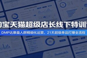 2024淘宝天猫超级店长特训营：DMP达摩盘人群精细化运营，21天超级单品打爆实战教程