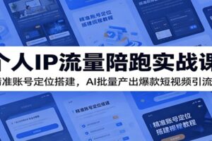 个人IP流量陪跑实战课:AI批量产出爆款短视频,精准账号定位从0到1涨粉指南