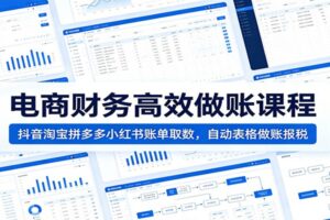 电商会计做账实操课程：抖音/淘宝/拼多多/小红书多平台账单取数+自动表格核算+报税全攻略