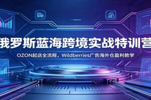 俄罗斯跨境电商OZON起店全流程实战：Wildberries海外仓盈利与广告投放特训营