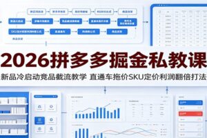 拼多多运营实战教程:直通车拖价+SKU防比价,从冷启动到利润翻倍全流程拆解