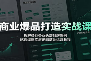 商业爆品打造实战课：拆解30个头部品牌案例，吃透爆款底层逻辑与盈利方法