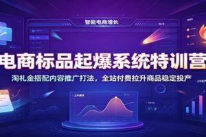 电商标品起爆实战课：淘礼金+全站付费推广打法，4剑合1稳定打造爆款