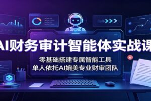AI财务审计智能体实战课：零基础搭建专属工具，单人效率翻倍