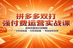 拼多多双打强付费运营实战课：成本托管双计划搭配技巧与分阶段起量指南