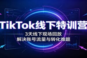 TikTok跨境短视频带货实操教程|3天线下特训营完整录播,账号起号+爆款打造+流量转化全攻略