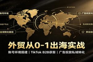 TikTok外贸B2B获客从0到1实操课：账号搭建+广告投放+私域转化完整教程