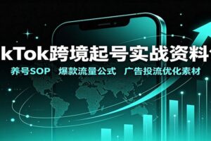 TikTok 跨境起号实战资料包：养号 SOP 与爆款流量公式全解析