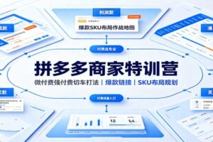 拼多多付费推广切车打法实战教程：微付费强付费SOP与SKU布局全攻略