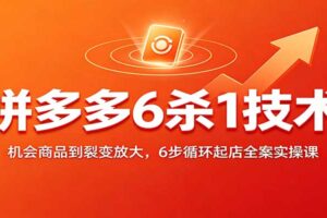 拼多多6杀1技术全案实操课：6步循环起店裂变放大成交完整教程