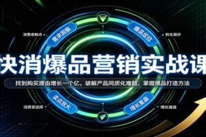 快消爆品营销实战课：购买理由7大方法破解产品同质化，引爆终端销量