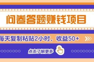 零成本问卷赚钱实操攻略:新手每天2小时复制粘贴,收益50+的副业项目