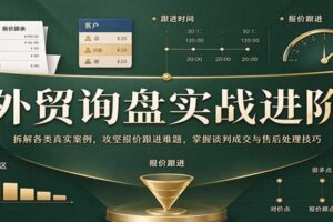 外贸询盘实战进阶：42个真实案例拆解报价跟进与谈判成交技巧