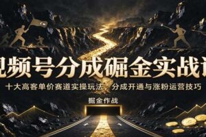 视频号分成计划实战课：十大高客单价赛道实操玩法，手机电脑剪辑与涨粉全流程拆解