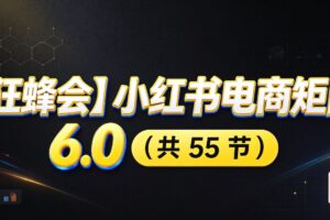 小红书电商实战6.0：开店配置、多元选品与AI矩阵运营全攻略