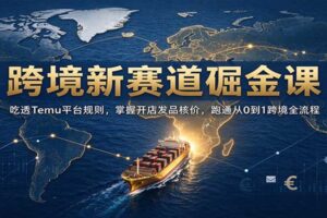 Temu跨境电商从0到1实战课：开店发品核价全攻略，新手必看跨境掘金指南