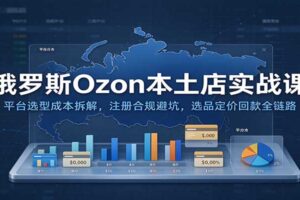 俄罗斯Ozon本土店实战课：平台选型、注册合规、选品定价回款全流程拆解