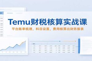 Temu财税核算实战课：从平台账单到财务报表，跨境卖家必学的账务实操指南
